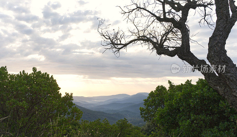 Col des Maures，法国普罗旺斯